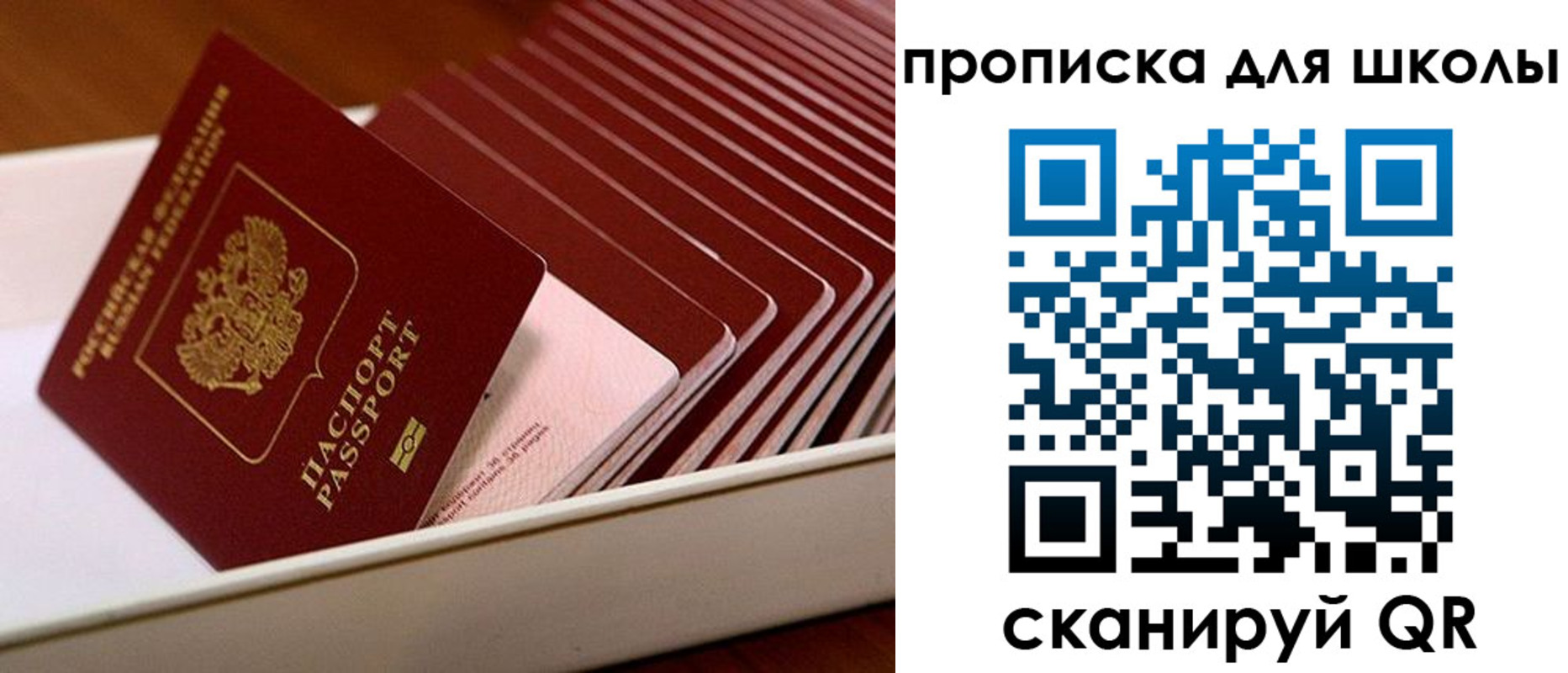 временная регистрация гарантия в Новоульяновске